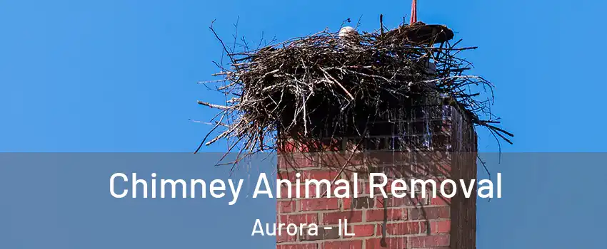 Chimney Animal Removal Aurora - IL