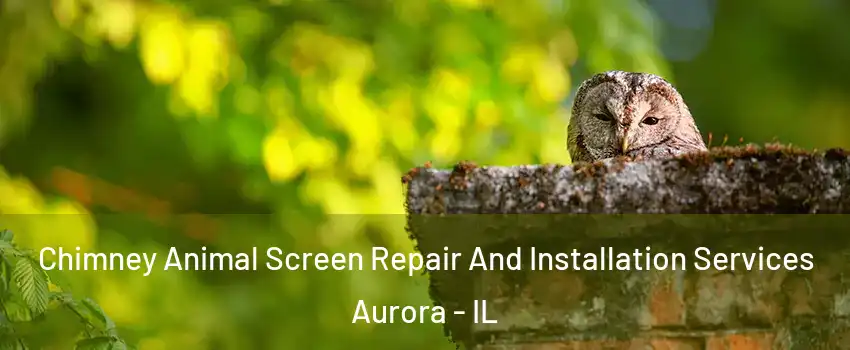  Chimney Animal Screen Repair And Installation Services Aurora - IL