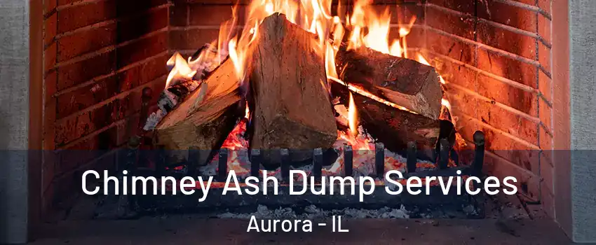  Chimney Ash Dump Services Aurora - IL