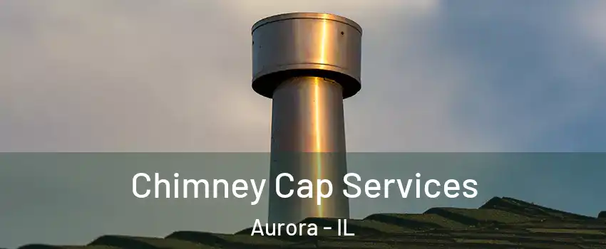  Chimney Cap Services Aurora - IL