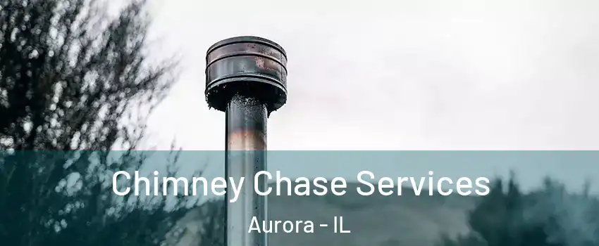  Chimney Chase Services Aurora - IL