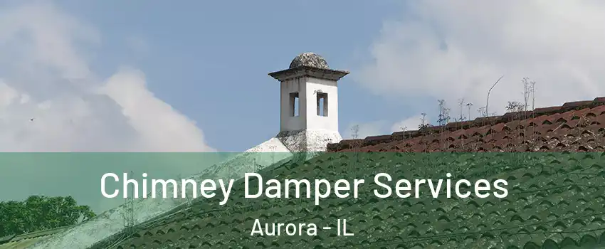  Chimney Damper Services Aurora - IL