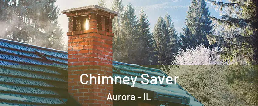  Chimney Saver Aurora - IL