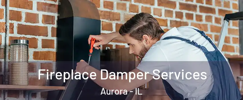  Fireplace Damper Services Aurora - IL