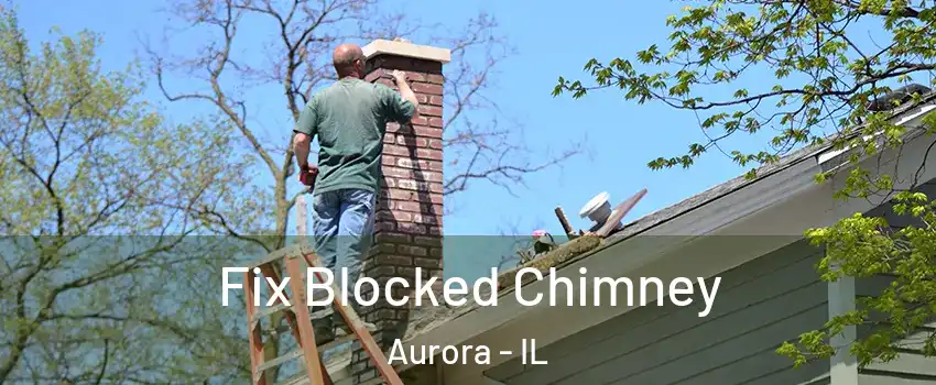  Fix Blocked Chimney Aurora - IL