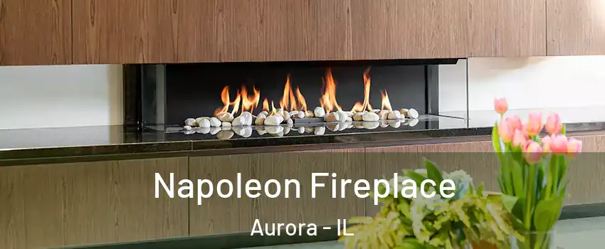  Napoleon Fireplace Aurora - IL